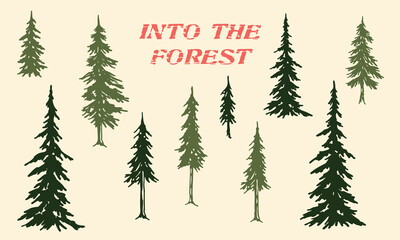 Pine Tree Silhouette Set – Evergreen Pine, Firs and Spruces for Nature and Wilderness Designs, Vector Woodland Illustrations on Off-White Background.