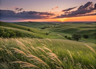 Obraz premium Soft Naturalistic Illustration of Kansas Tallgrass Prairie at Sunset with Warm Colors and Serenity