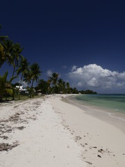 Beach of Grand Bourg, in Marie Galante, caribbean island in french antilles. Idyllic tropical beach landscape