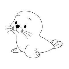 baby seal
