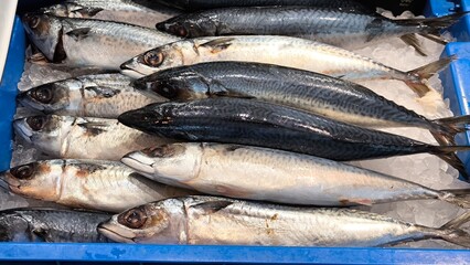 Saba on ice at a seafood restaurant