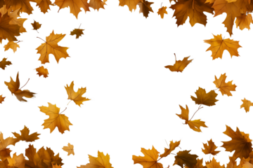 Autumn leaves falling isolated on transparent or white background,PNG
