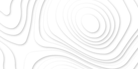 Abstract soft white background with waves, textured Papercut background. Topographic canyon geometric map relief texture with curved layers and shadow. Vector topographic illustration.