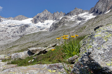 Mountain peaks above the Zillergrund in the Krimmler Tauern, Alps, Austria, Europe