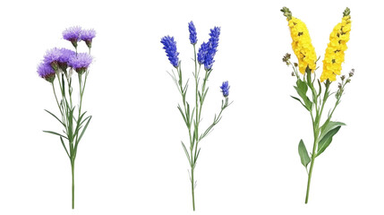 Obraz premium Untitled design - 1