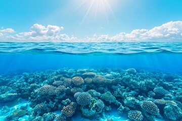 Naklejka premium Stunning coral reef from the tropical Maldives