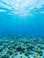 Abstract underwater backgrounds in a sunbeam.