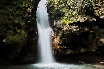 Fototapeta premium Mystical Waterfall in a Verdant Forest