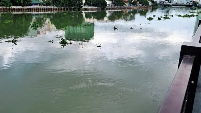 Strong river current reflecting the clouds and sky, moving water lilies, polluted river in the city