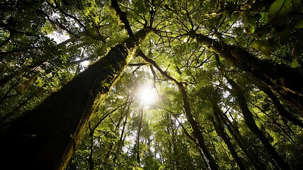 Fototapeta premium Vibrant Rainbow in Sky with Nature's Colors and Enchanting Magic 