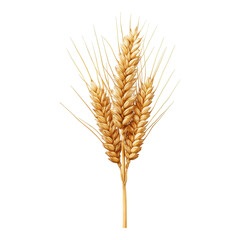 Fototapeta premium A close-up of golden wheat stalks against a black background, showcasing the intricate details of the grains and their natural beauty.
