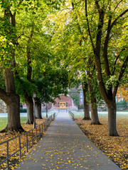 Walkway through autumn trees with door at the end