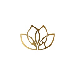 our spa treatments gradient  vector logo design