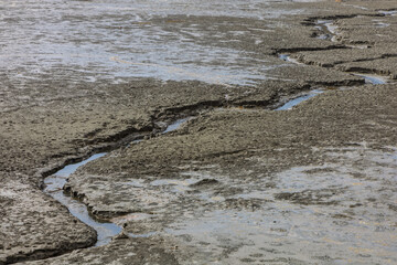 A drained pond and mud on its bottom