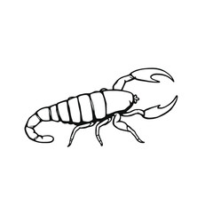 Obraz premium a black and white illustration of a scorpion