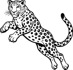 snow leopard jump on white background