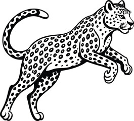 snow leopard jump on white background
