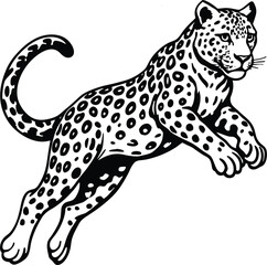 snow leopard jump on white background