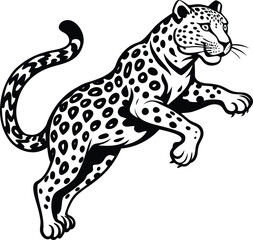 snow leopard jump on white background