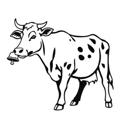 Fototapeta premium a black and white line drawing of a funny cow.