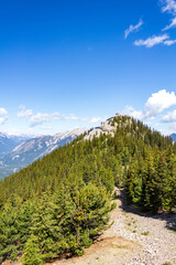 Scenic Forested Mountain Under Clear Blue Sky