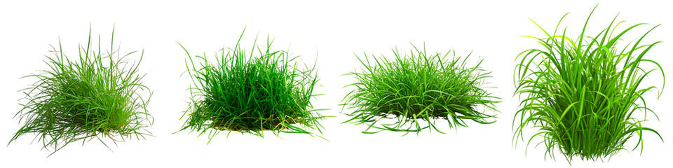 Set of green grass, with lush blades and natural textures, isolated on transparent background.