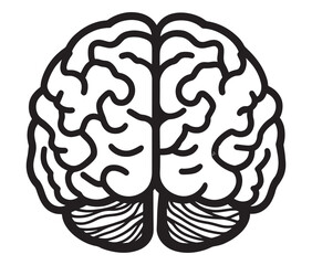 Fototapeta premium Human brain illustration, Hand drawn brain drawing illustration. Human brain icon