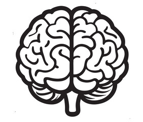 Fototapeta premium Human brain illustration, Hand drawn brain drawing illustration. Human brain icon