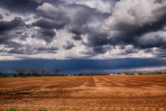 Wheat field after the harvest, San Giuliano Vecchio, Alessandria, Piedmont, Italy