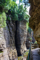 Majestic Rocky Gorge Pathway with Lush Greenery