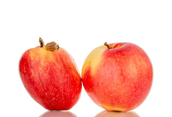 Two red apples, macro, isolated on a white background.