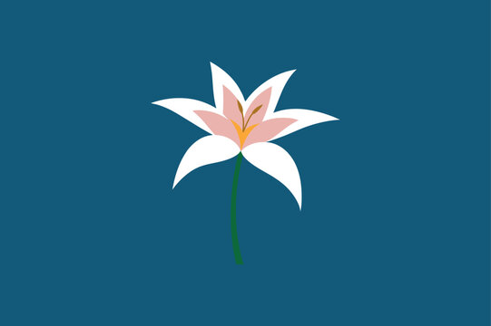 Zephyranthes flower template design vector art illustration

