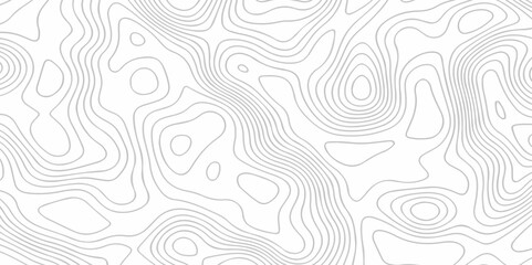 Vector lines pattern seamless sea map topography design. White wave paper curved reliefs Contour maps