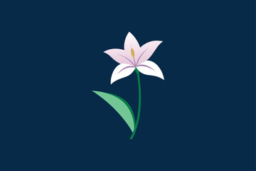 Zephyranthes flower template design vector art illustration

