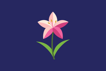Zephyranthes flower template design vector art illustration

