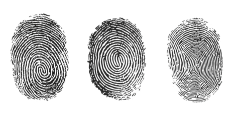 Set of three black fingerprint scans isolated on transparent background. Digital biometric security and identification concept.