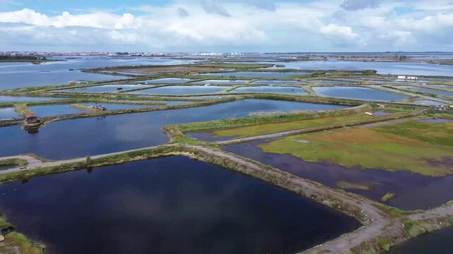 aveiro salinas drone