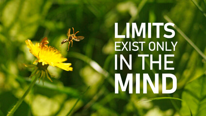 Limits exist only in the mind is shown using the text. Motivational quote