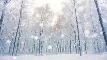 Fototapeta premium Frosted Red Berries in a Winter Wonderland: A Serene Close-Up Capturing Nature's Icy Beauty winter