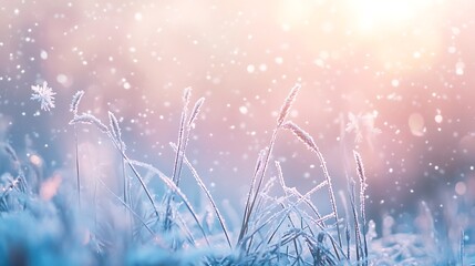 Fototapeta premium Frosted Red Berries in a Winter Wonderland: A Serene Close-Up Capturing Nature's Icy Beauty winter