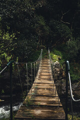 Hängebrücke über Fluss im Urwald