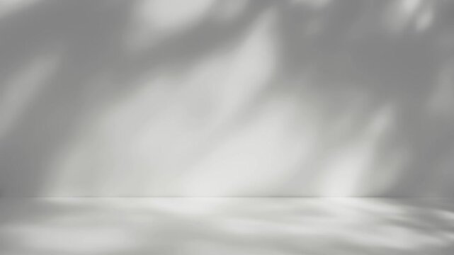 Abstract silhouette tree branchs on white wall in the evening sunlight background, beautiful natural sun rays leaves shade waving in morning wind, blur bokeh plant shadow light in sunset spring nature