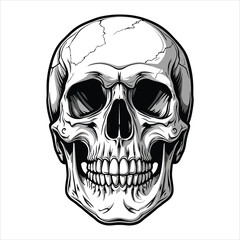 Obraz premium Vintage concept human skull illustration vector