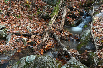 Cascading mountain stream in the woods by a trail in Shenandoah National Park, Blue Ridge Parkway Virginia