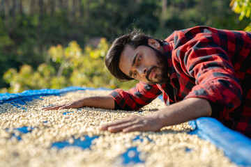 Farmer is drying raw coffee beans under the sun at the coffee plantation. Worker carefully inspects...