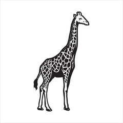 A giraffe sketch art vector illustration