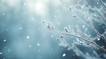 Frosted Red Berries in a Winter Wonderland: A Serene Close-Up Capturing Nature's Icy Beauty winter