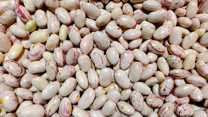 Fresh light speckled kidney beans to boil for making salad with olive oil