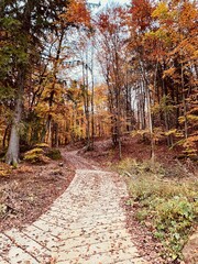 autumn landscape