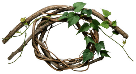 A twisting vine with lush green leaves composition on transparent background, PNG, design element, macro view close up Generative AI